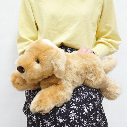 ゴールデンレトリバー S モダン かわいい 人気 おしゃれ