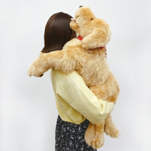 ゴールデンレトリバー L モダン かわいい 人気 おしゃれ