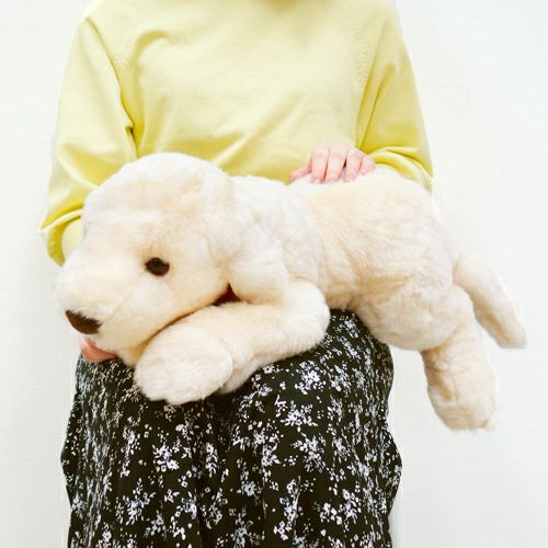 ラブラドール レトリバー ホワイト M | 雛人形（ひな人形）・五月人形