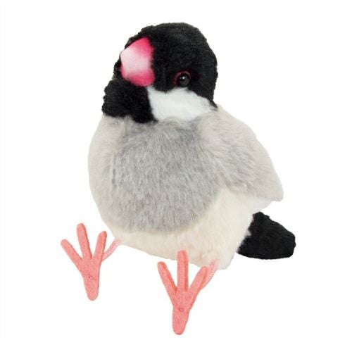 000000002352-01.jpg?size=m&w=