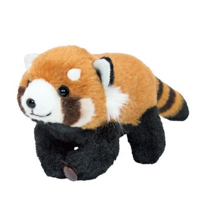 くっつきたい！ レッサーパンダ モダン かわいい 人気 おしゃれ