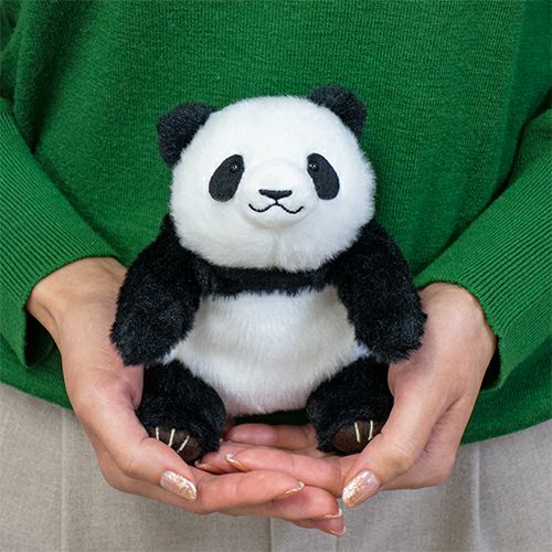 じゃれパンダ モダン かわいい 人気 おしゃれ