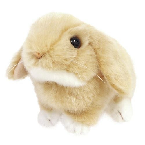 ロップイヤー オレンジ | 雛人形（ひな人形）・五月人形の吉徳