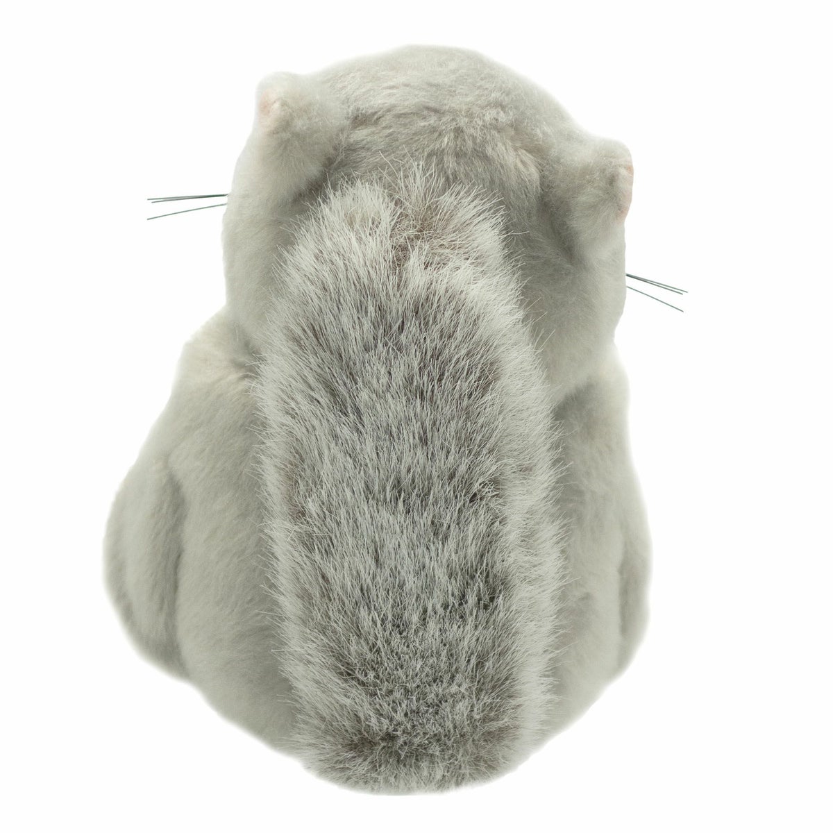 エゾモモンガ モダン かわいい 人気 おしゃれ