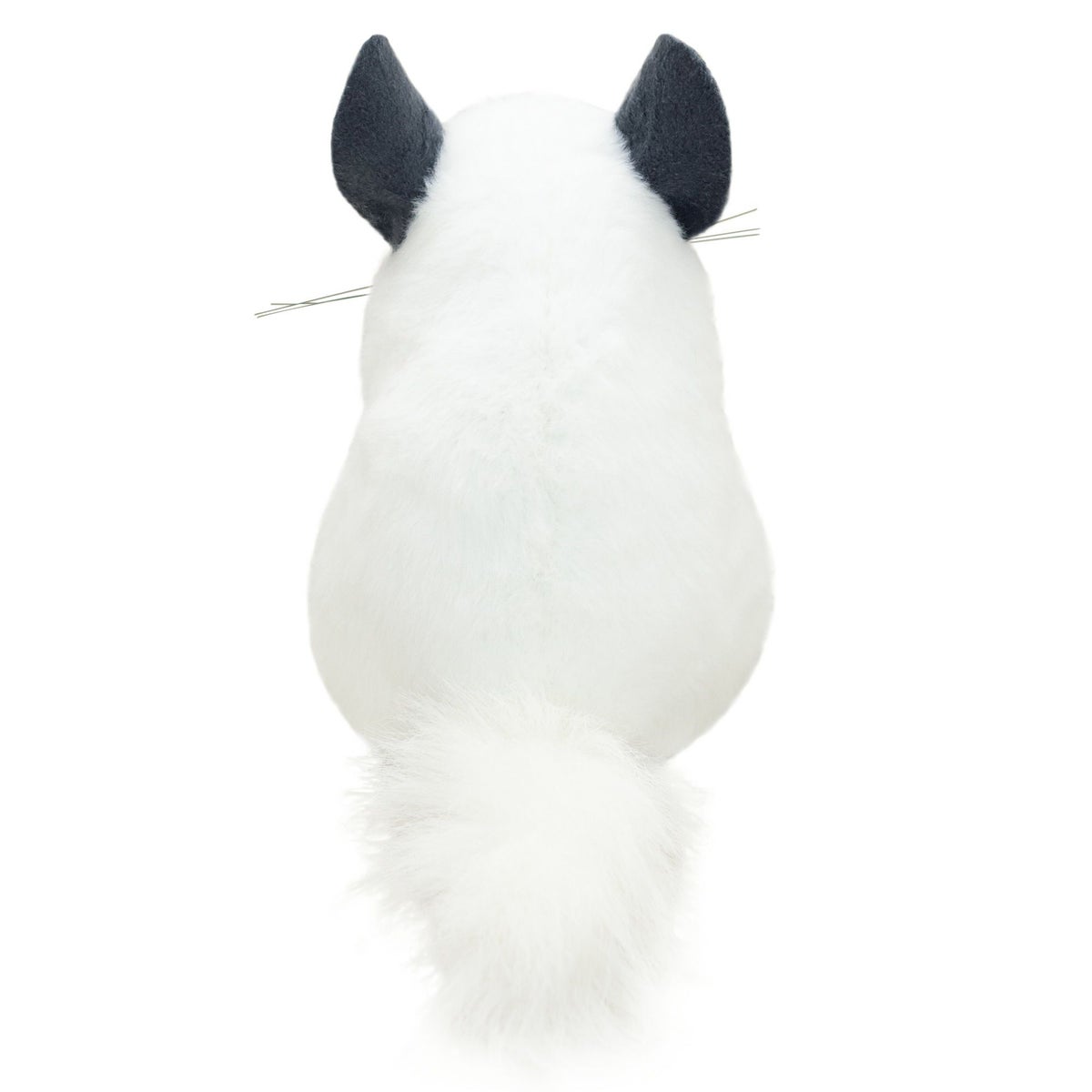 チンチラ モダン かわいい 人気 おしゃれ