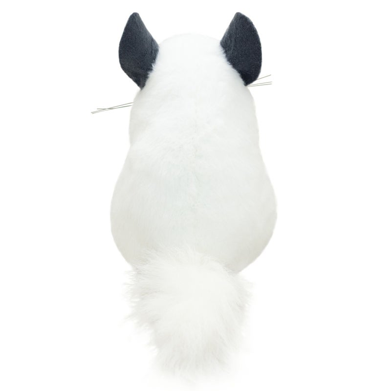 チンチラ モダン かわいい 人気 おしゃれ