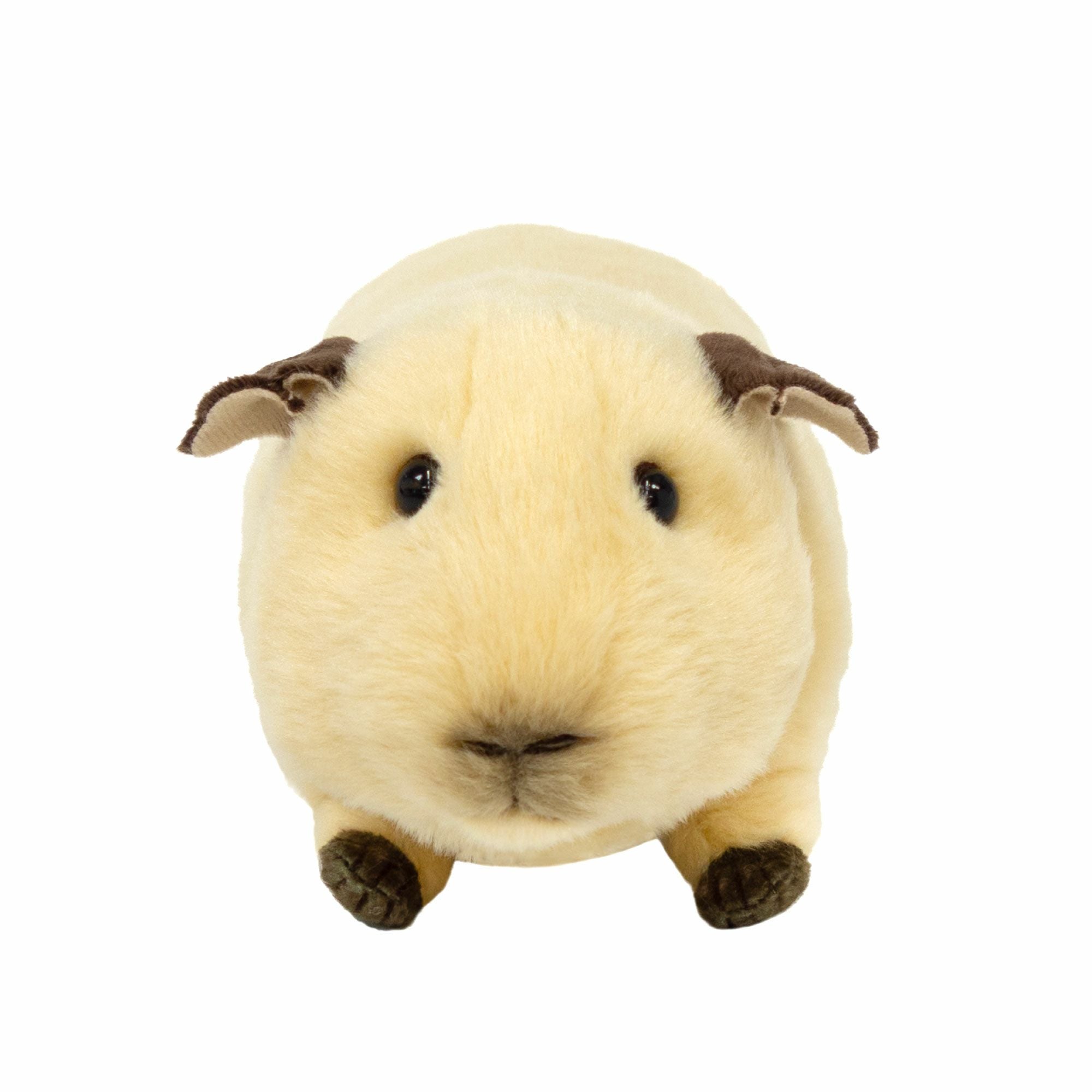 モルモット ロシアンスモーク | 雛人形（ひな人形）・五月人形の吉徳