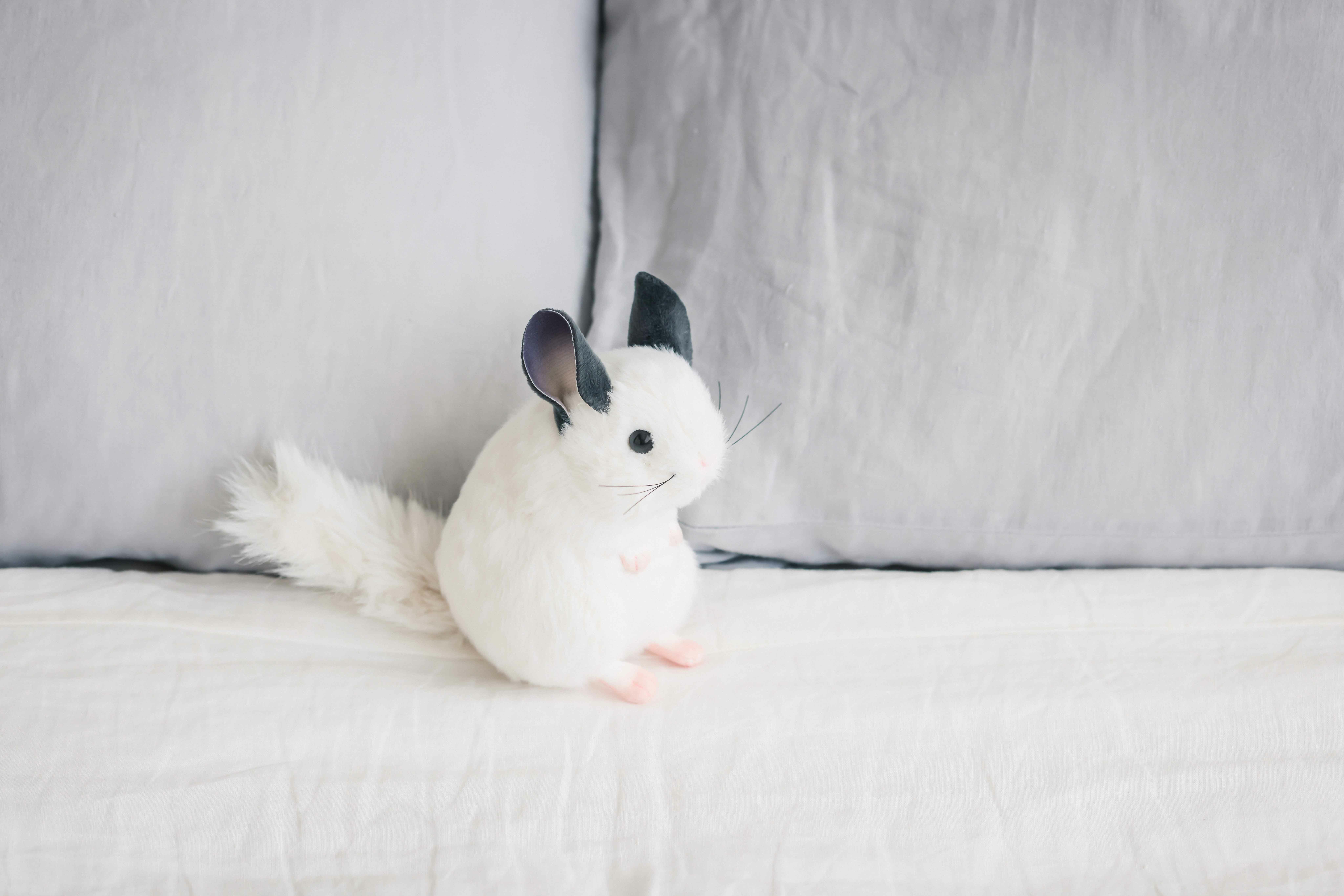 吉徳のぬいぐるみ チンチラのぬいぐるみポーチBOOK | 雛人形（ひな人形